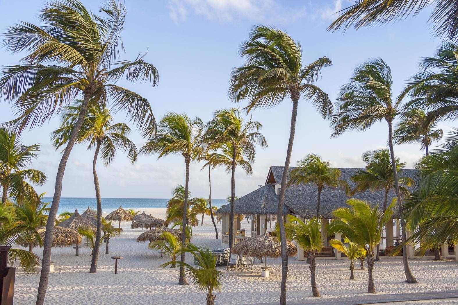 Manchebo Beach Resort And Spa Palm Beach Esterno foto